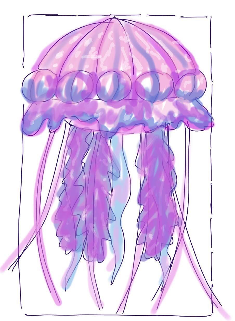 Jellyfish Drawing